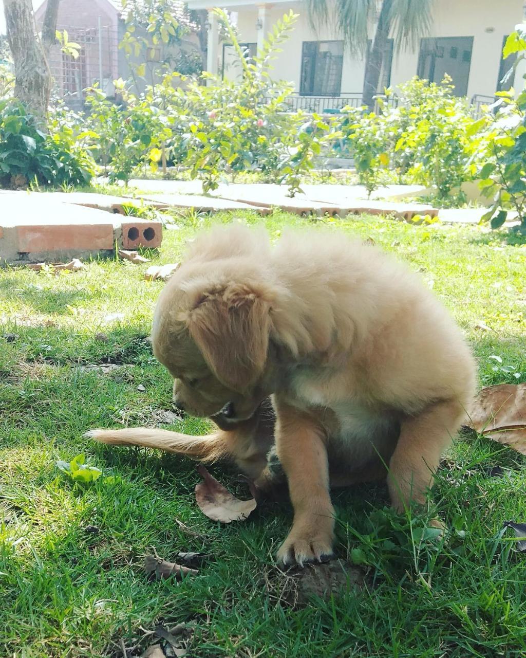 Sunny Trang An Homestay 宁平 外观 照片