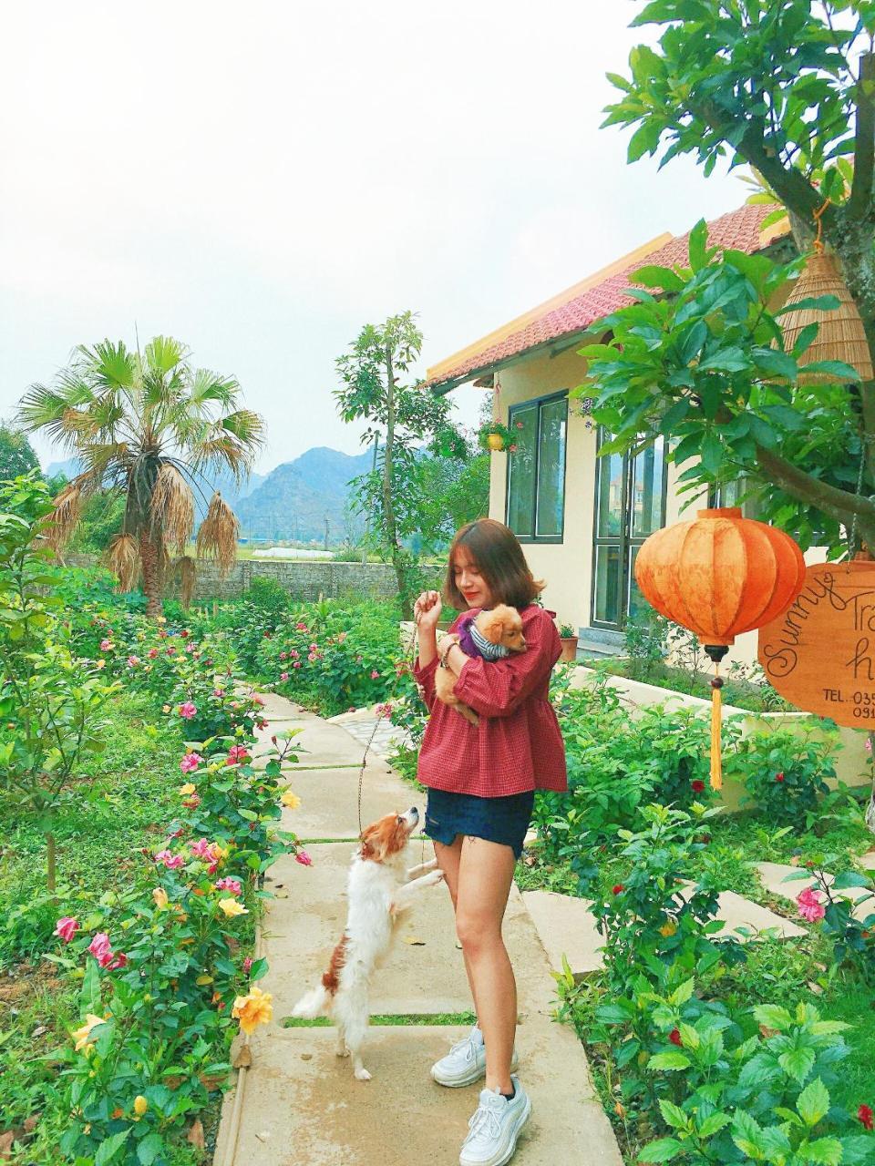 Sunny Trang An Homestay 宁平 外观 照片